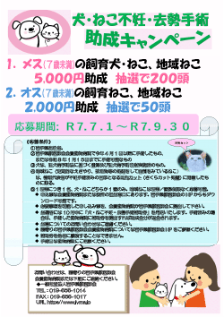 ポスター