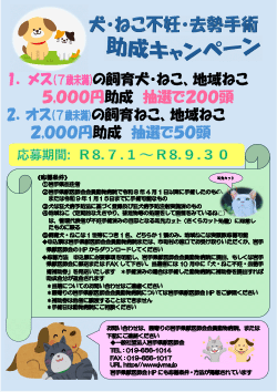 ポスター