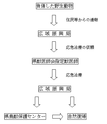 保護のながれの図